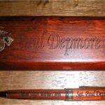 1 Pen & Case