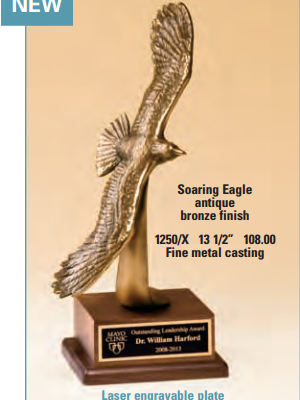 OCT1250/x – 13 1/2″ Soaring Eagle Trophy