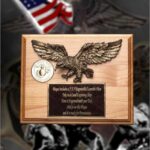 8 X 10 Eagle Medallion