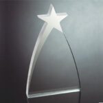OCAA936M - Medium Silver Star Award