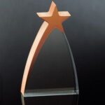 OCAA936S - Small Bronze Star Award