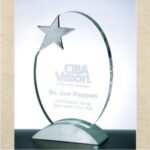 OCPRC8117 - Metal Star Achievment Award