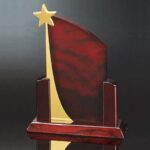 OCASM757M - Maroon Medium Rising Star Award