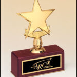 OCT108 - Polished Metal Goldtone Star Casting