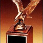 10 3/4" Fully Modeled Antique Bronze Eagle Casting